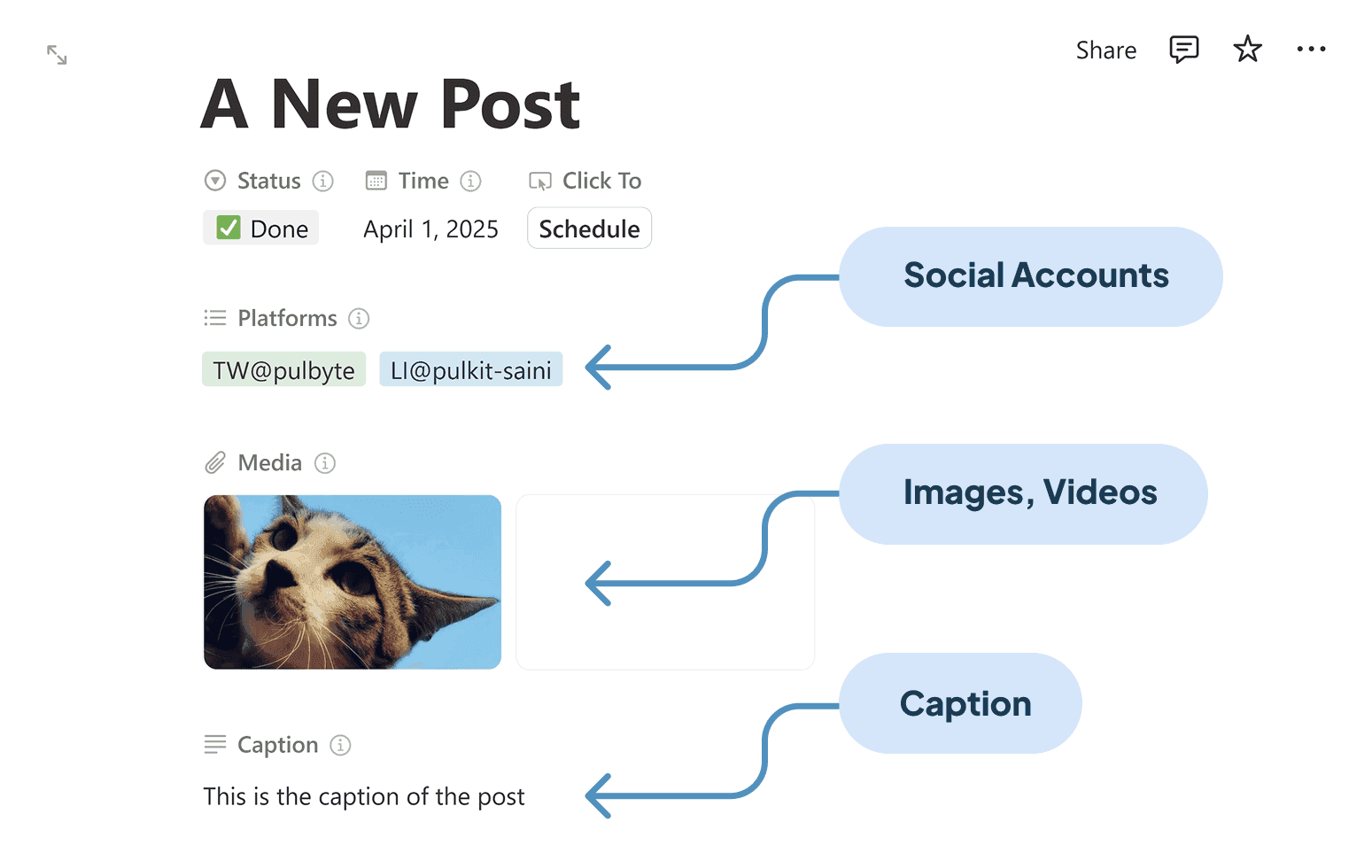 Create and schedule posts in Notion