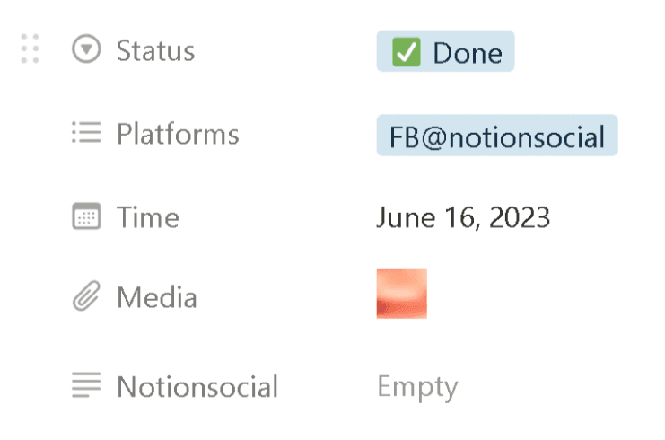 Notion social media management